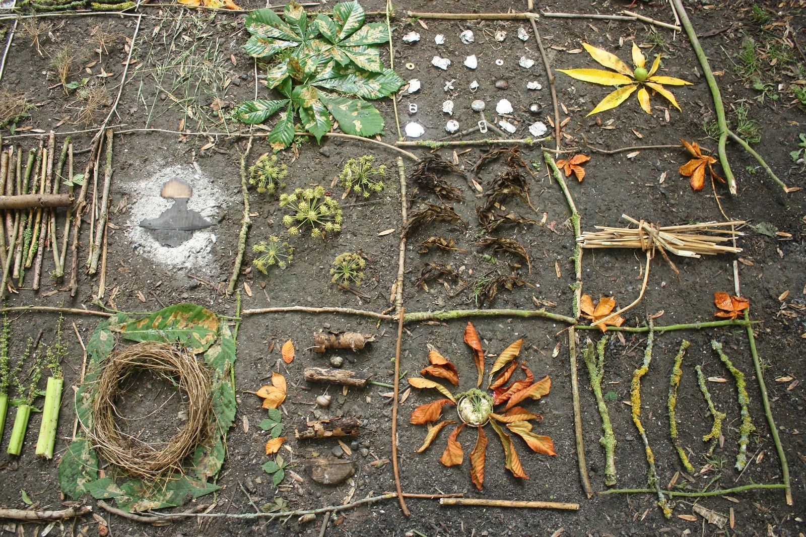 Organized natural objects arranged in grid patterns on soil.