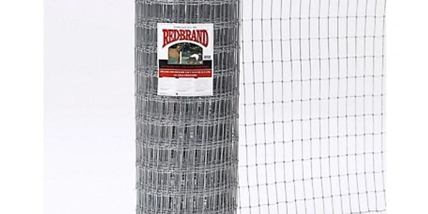 Predator proof goat enclosure fencing for our nigerian dwarf and mini nubian goats in Naples, FL and