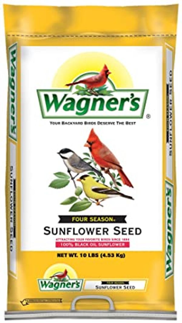 Black Oil Sunflower Seeds.  Aka:BOSS