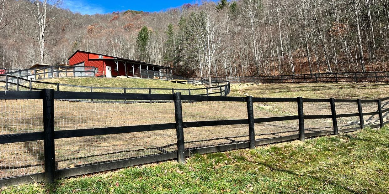 Predator proof goat enclosure fencing for our nigerian dwarf and mini nubian goats in Clyde, NC.