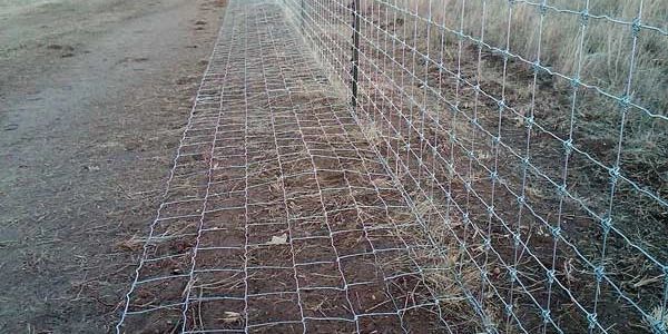 Predator proof goat enclosure fencing for our nigerian dwarf and mini nubian goats in Naples, FL and