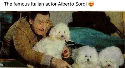 Famous Italian actor Alberta Sordi with his Bolognese dogs