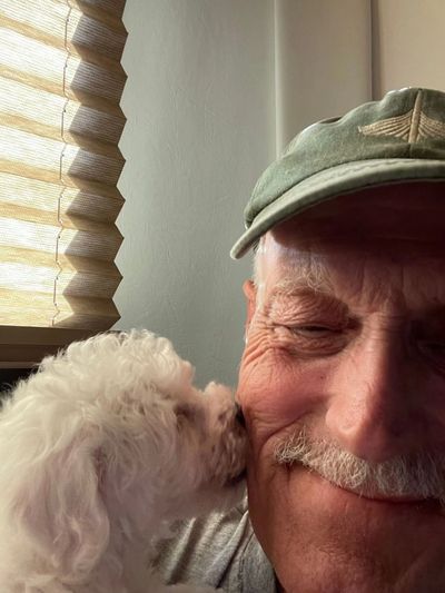 Bolognese puppy licking a smilingman’s face