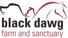 Black Dawg Farm And Sanctuary