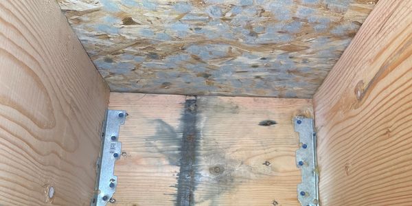 White mould growing on the surface of the wood in a Victoria BC home's crawl space