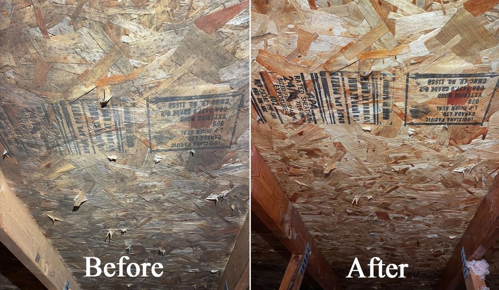 before and after attic mould removal photo from an attic mould cleaning job in Mill Bay BC