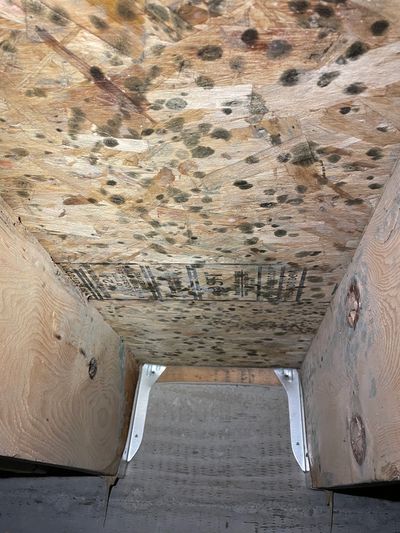 Testing mould in Victoria BC