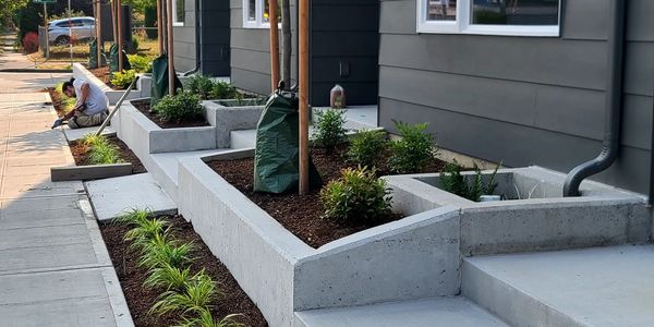 42 Townhomes 4031 Willo St Seattle