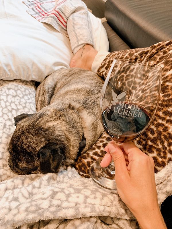 Red wine and a dog