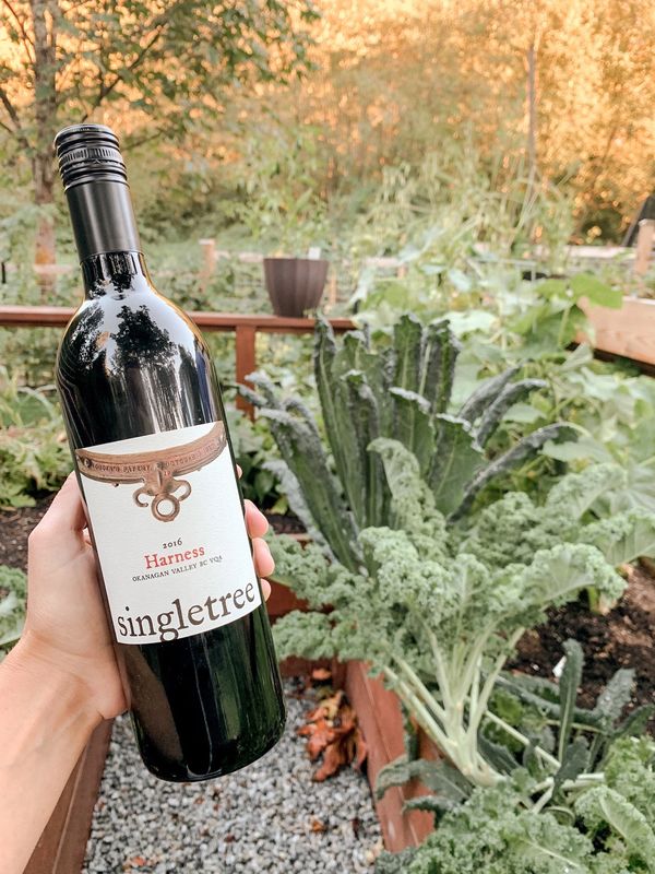 Red wine in the garden