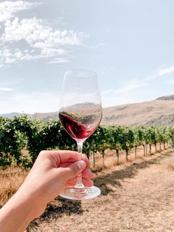 Red wine in a vineyard in Oliver, British Columbia