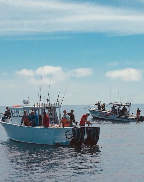 Albacore fishing out of Westport, Washington