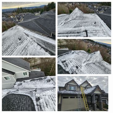 Snow dusting on residential rooftops with ladders for roof access.
