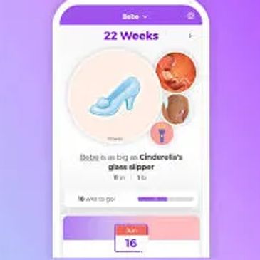 Pregnancy app tracking 22 weeks with Cinderella's glass slipper analogy.
