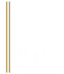 Pacific Coast Electric