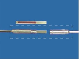 Cleanliness indicator