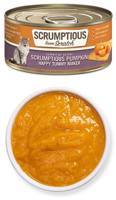 Scrumptious Pumpkin Puree