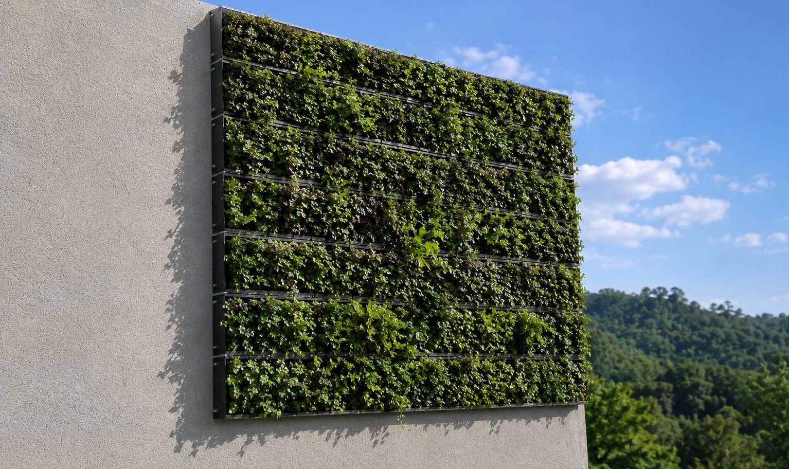 A vertical garden panel on a building wall with lush green plants.