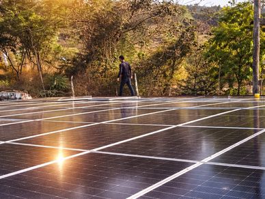 Solar panels reflecting sunlight with a person walking nearby in a natural setting.
