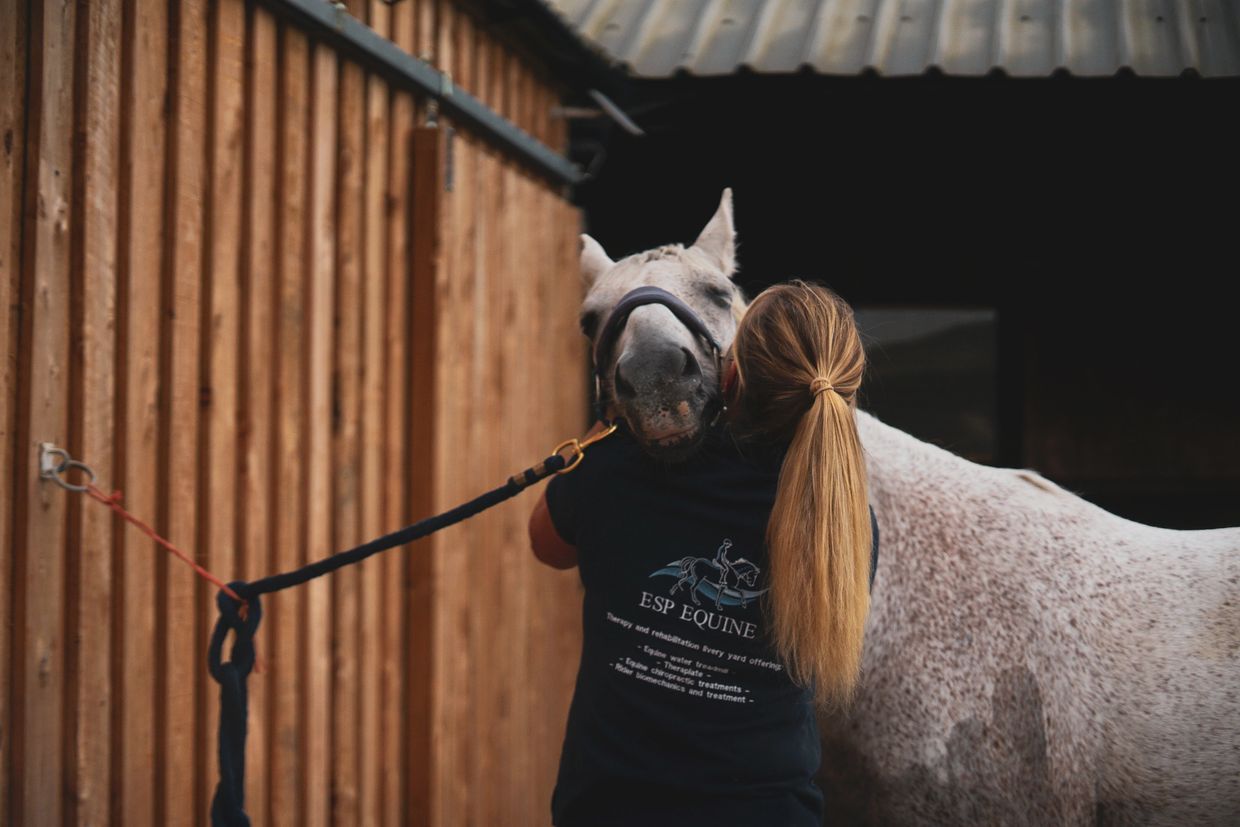 Equine Chiropractic
Equine Chiropractor
Equine treatments
Horse Chiropractor Somerset
