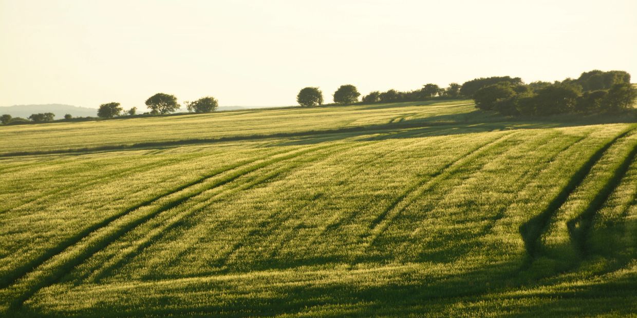McAlister Estates - Oaks Park - Surrey