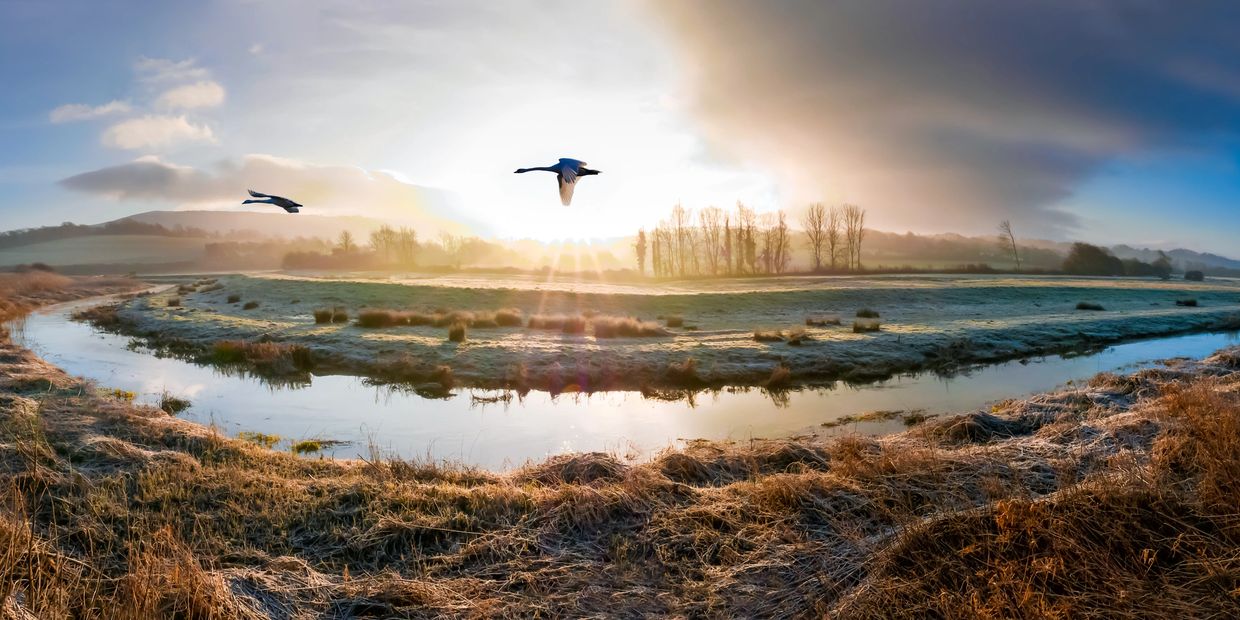 Mount Park - Steyning