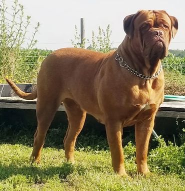 Elly standing proud at Argyle Bordeaux in sunny ontario