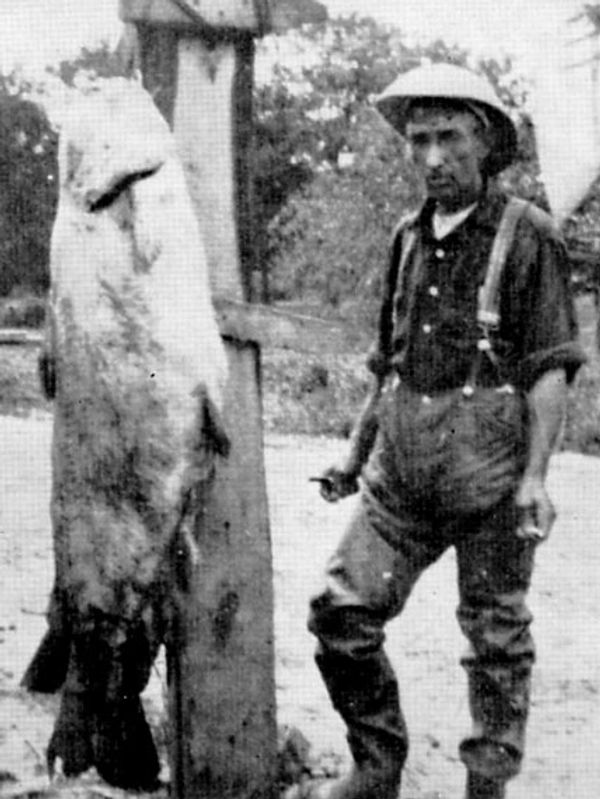 Dug Smith, Eudora