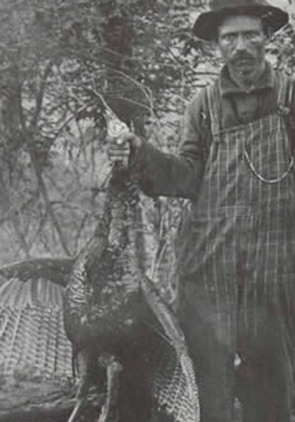 Nickle Wilson on turkey hunt