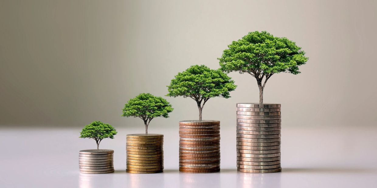 Investieren: Langfristige Renditen durch attraktive & nachhaltige Anlageimmobilien.