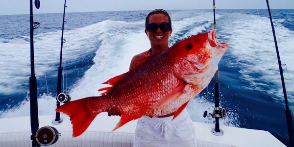 red snapper caught on the miss ginger out of orange beach al    Deep sea fishing Alabama  
