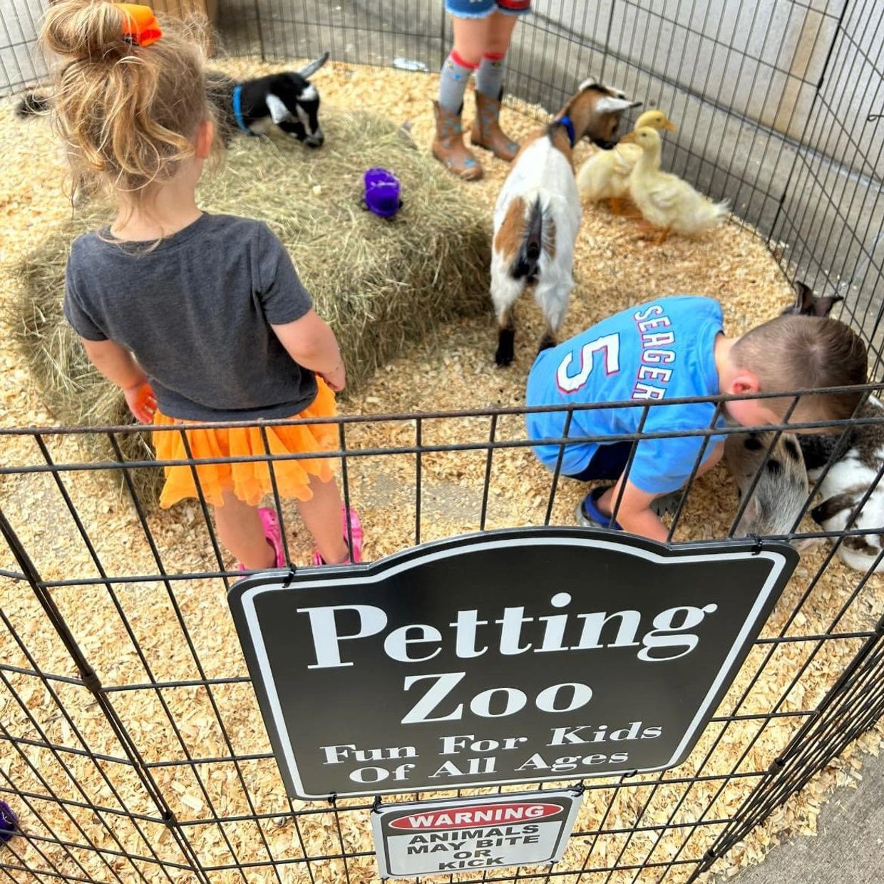 Mobile Petting zoo 