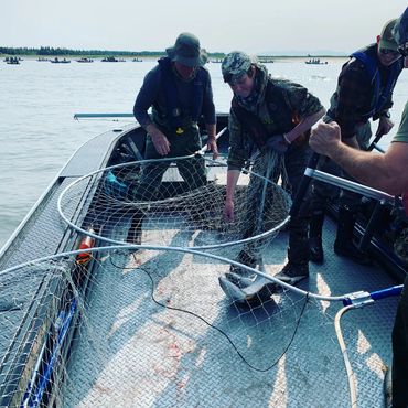 Guided Dipnet Charter Kenai, Dipnet Rentals Kenai, Kenai dipnet guide, Kasilof Dipnet Guide,