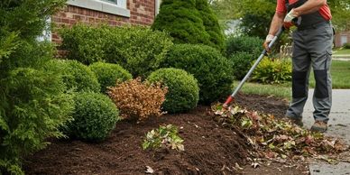 Man spreading mulch in a garden bed by a house.