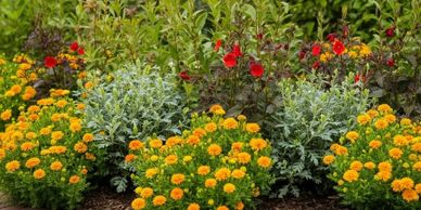 A vibrant flower bed with yellow and red blooms bordered by brick edging.