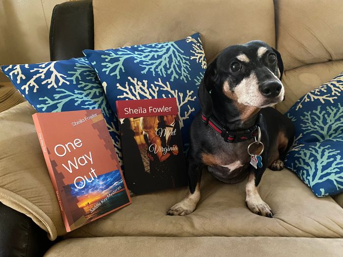 https://www.amazon.com/author/sheilafowler