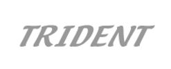 Trident Logo