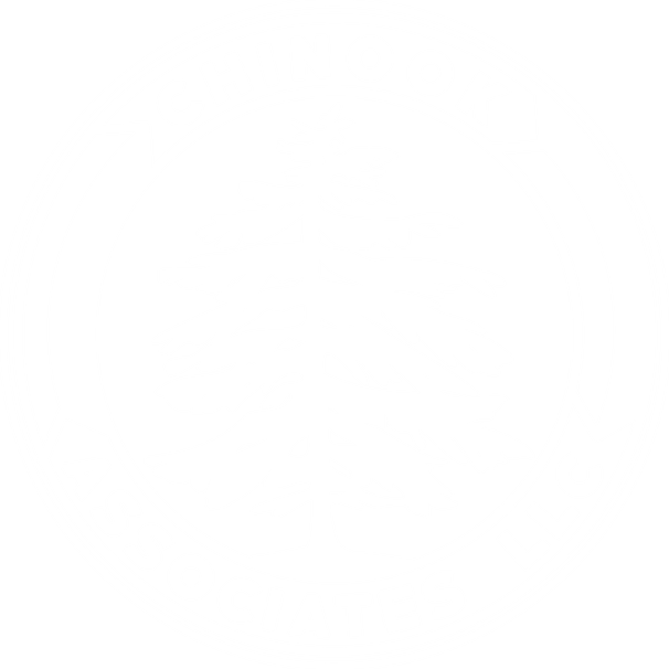Chinook Associates LLC