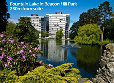 This is an image of Beacon Hill Park's Goodacre lake, home to the turtle logs we love to admire.