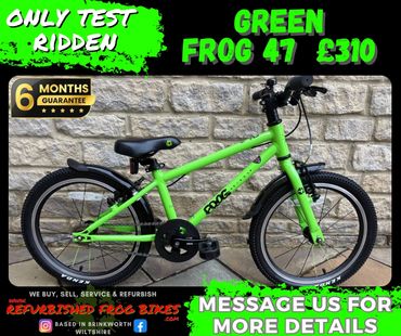 Green Frog 47