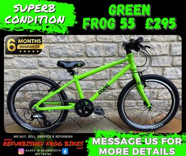 Green Frog 55