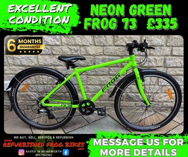 Neon Green Frog 73