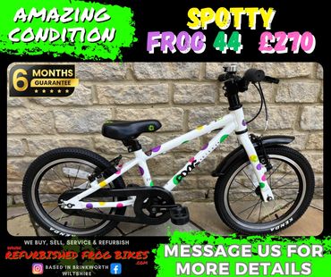 Spotty Frog 44