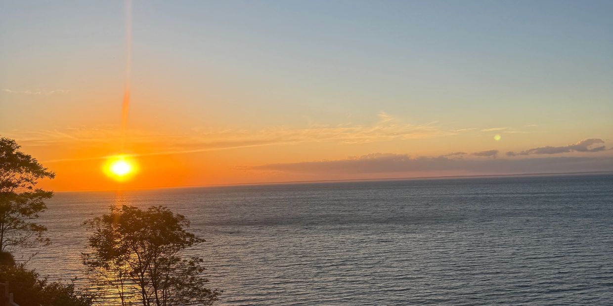 Sunset over the ocean with silhouetted trees.