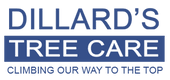Dillard's Tree Care