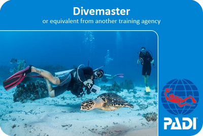 RESSA - Cursos de certificación de Guardavidas y buceo