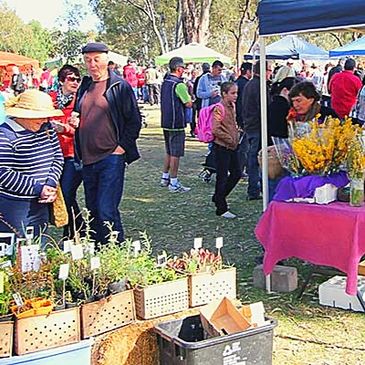 red cliffs market with people and plants on sale