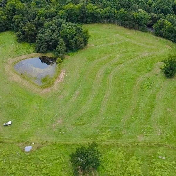 Aerial view of a green field with a small pond and surrounding trees.