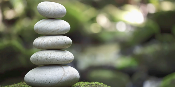 MIND AND BODY MEDICINE