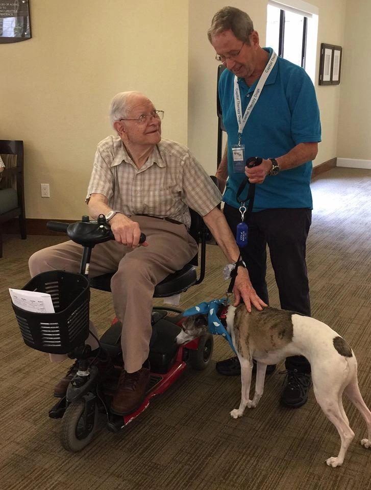 Client petting a dog.